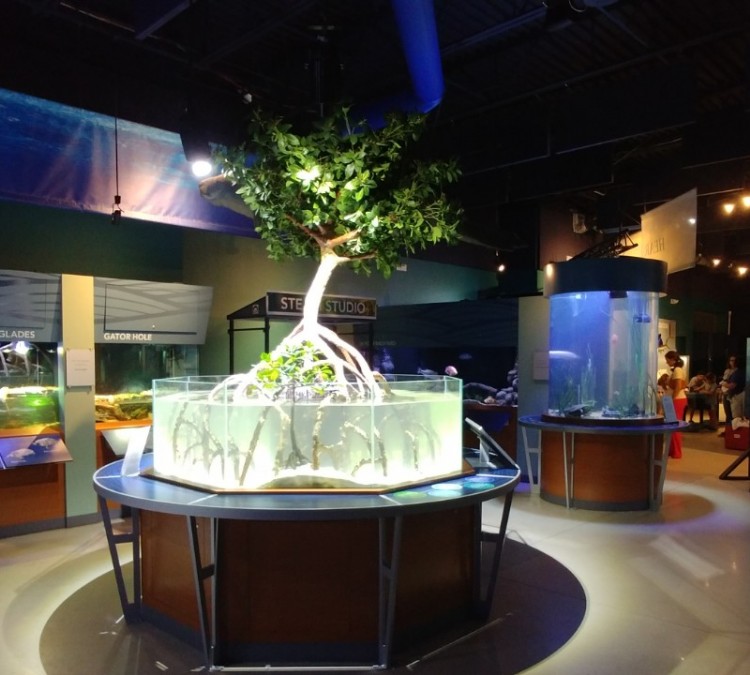 Cox Science Center and Aquarium (West&nbspPalm&nbspBeach,&nbspFL)